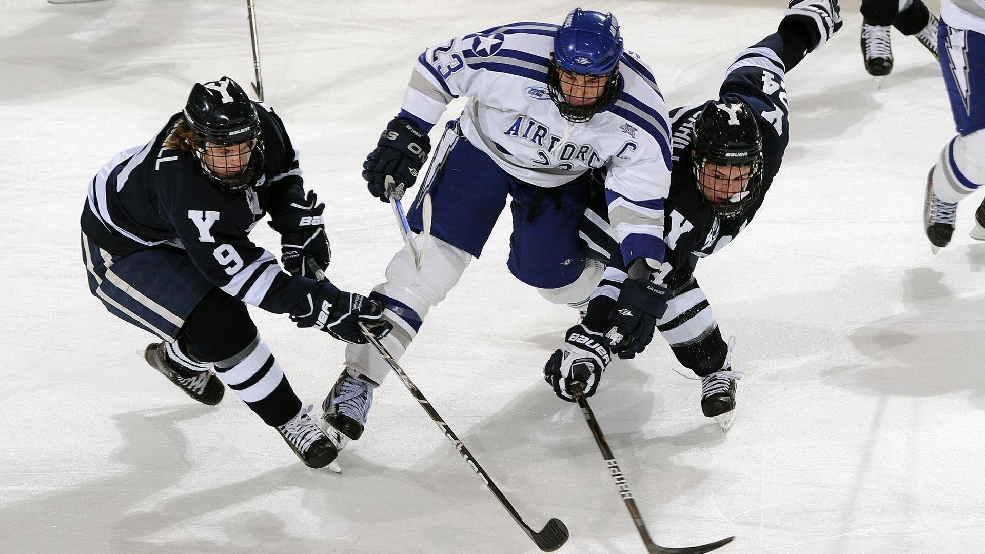 “赛道迎风，SHO-CHAN Run 2025挑战极限速度！”